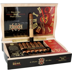 FORBIDDEN X EL BESO PROHIBIDO ARTURO FUENTE
